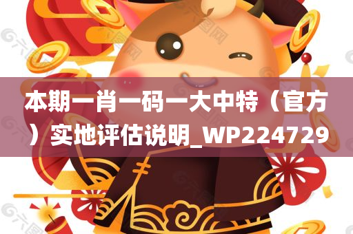 本期一肖一码一大中特（官方）实地评估说明_WP224729