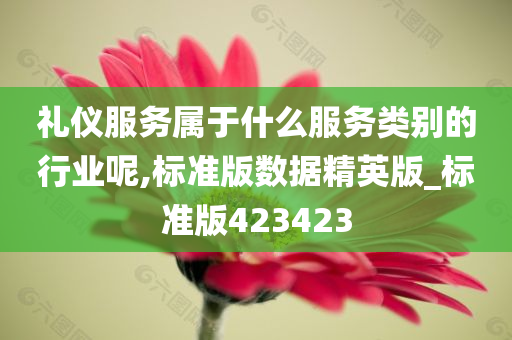 礼仪服务属于什么服务类别的行业呢,标准版数据精英版_标准版423423