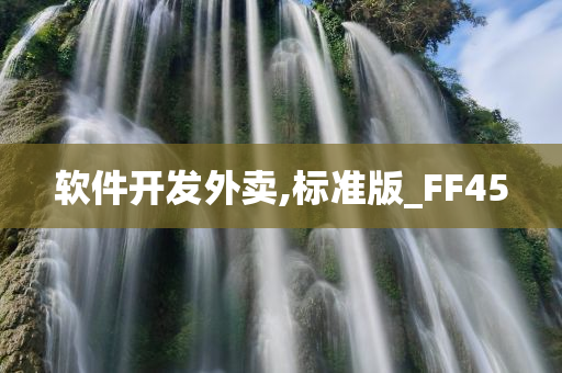 软件开发外卖,标准版_FF45