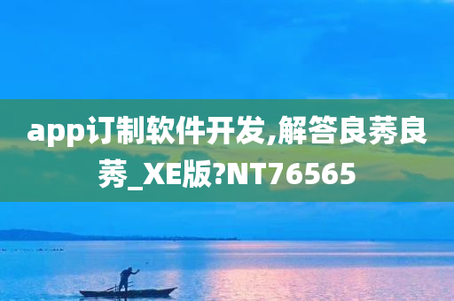 app订制软件开发,解答良莠良莠_XE版?NT76565