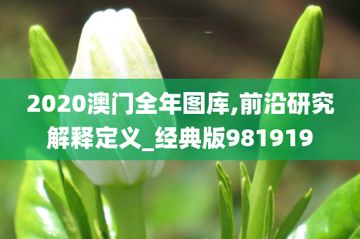 2020澳门全年图库,前沿研究解释定义_经典版981919