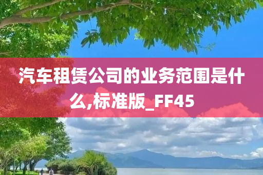 汽车租赁公司的业务范围是什么,标准版_FF45