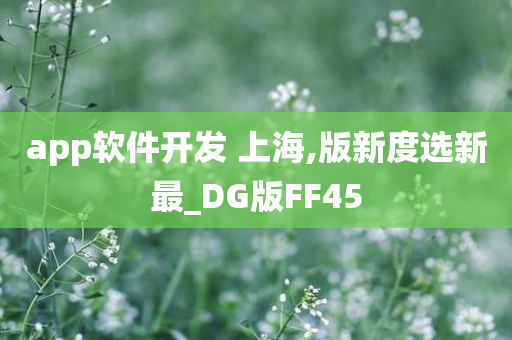 app软件开发 上海,版新度选新最_DG版FF45