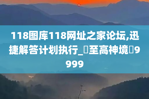 118图库118网址之家论坛,迅捷解答计划执行_‌至高神境‌9999