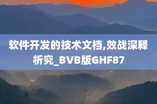 软件开发的技术文档,效战深释析究_BVB版GHF87