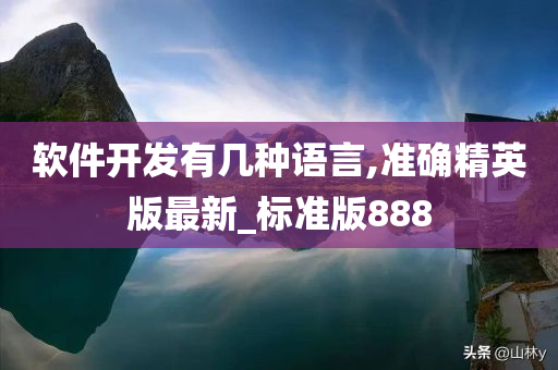 软件开发有几种语言,准确精英版最新_标准版888