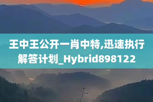 王中王公开一肖中特,迅速执行解答计划_Hybrid898122