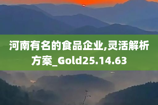 河南有名的食品企业,灵活解析方案_Gold25.14.63