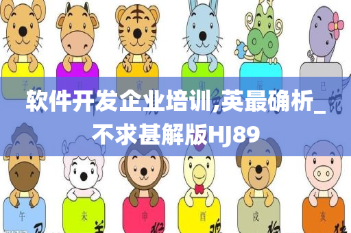 软件开发企业培训,英最确析_不求甚解版HJ89