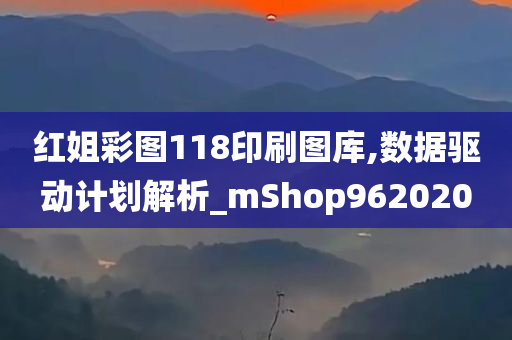 红姐彩图118印刷图库,数据驱动计划解析_mShop962020