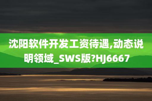 沈阳软件开发工资待遇,动态说明领域_SWS版?HJ6667