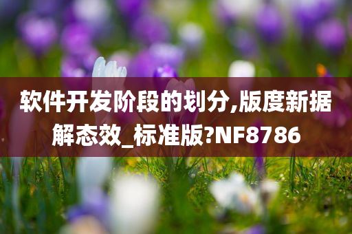 软件开发阶段的划分,版度新据解态效_标准版?NF8786