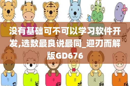 没有基础可不可以学习软件开发,选数最良说最同_迎刃而解版GD676