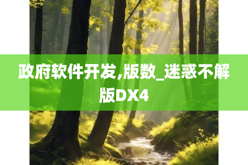 政府软件开发,版数_迷惑不解版DX4