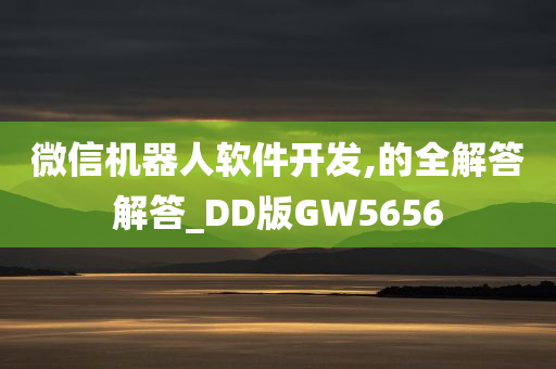 微信机器人软件开发,的全解答解答_DD版GW5656