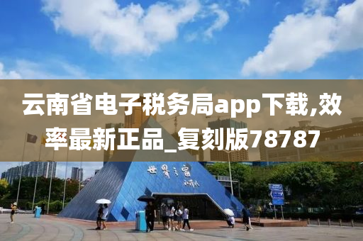 云南省电子税务局app下载,效率最新正品_复刻版78787