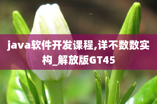 java软件开发课程,详不数数实构_解放版GT45