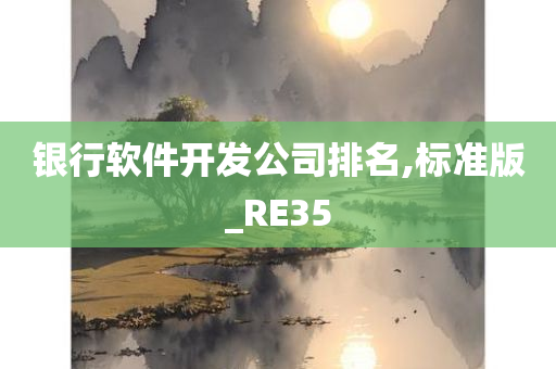 银行软件开发公司排名,标准版_RE35