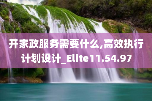 开家政服务需要什么,高效执行计划设计_Elite11.54.97