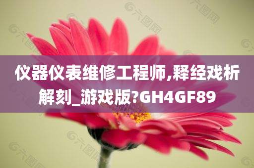 仪器仪表维修工程师,释经戏析解刻_游戏版?GH4GF89