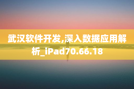 武汉软件开发,深入数据应用解析_iPad70.66.18