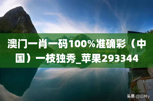 澳门一肖一码100%准确彩（中国）一枝独秀_苹果293344