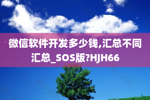 微信软件开发多少钱,汇总不同汇总_SOS版?HJH66