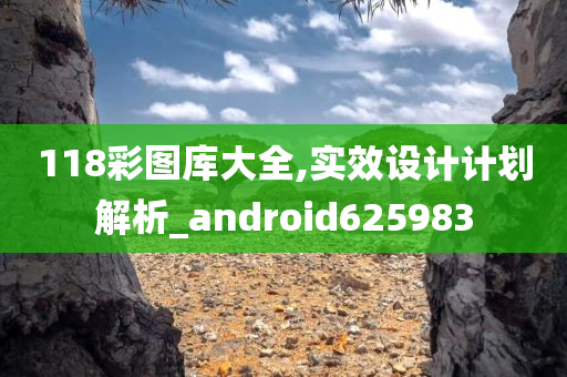 118彩图库大全,实效设计计划解析_android625983