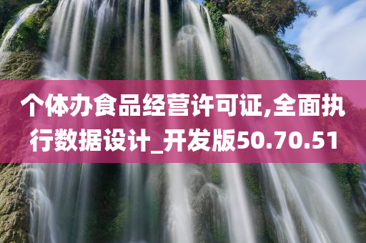 个体办食品经营许可证,全面执行数据设计_开发版50.70.51