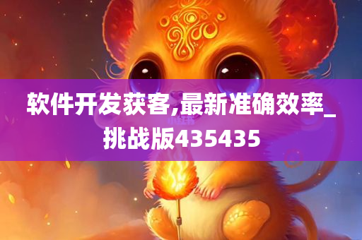 软件开发获客,最新准确效率_挑战版435435