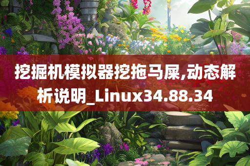 挖掘机模拟器挖拖马屎,动态解析说明_Linux34.88.34