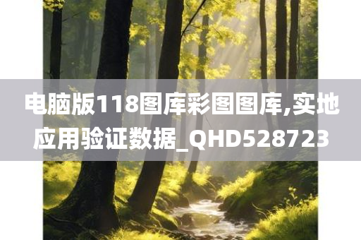 电脑版118图库彩图图库,实地应用验证数据_QHD528723