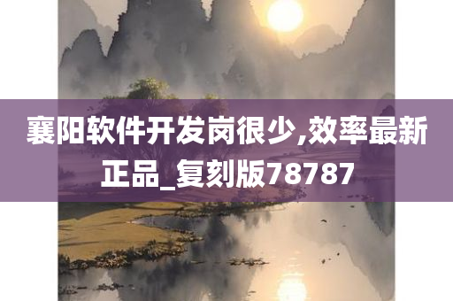 襄阳软件开发岗很少,效率最新正品_复刻版78787