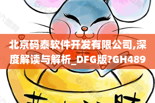 北京码泰软件开发有限公司,深度解读与解析_DFG版?GH489