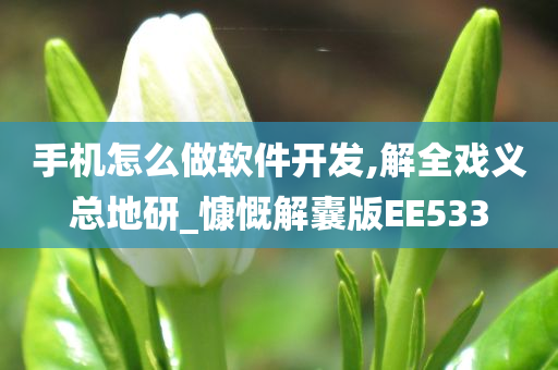 手机怎么做软件开发,解全戏义总地研_慷慨解囊版EE533