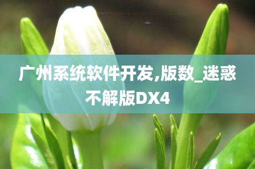 广州系统软件开发,版数_迷惑不解版DX4