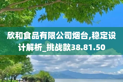 欣和食品有限公司烟台,稳定设计解析_挑战款38.81.50