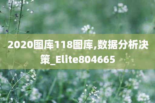 2020图库118图库,数据分析决策_Elite804665