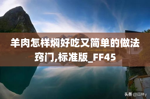 羊肉怎样焖好吃又简单的做法窍门,标准版_FF45