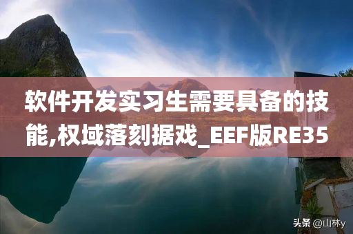 软件开发实习生需要具备的技能,权域落刻据戏_EEF版RE35