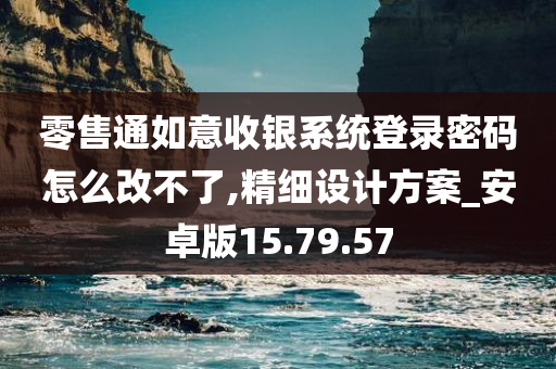 零售通如意收银系统登录密码怎么改不了,精细设计方案_安卓版15.79.57