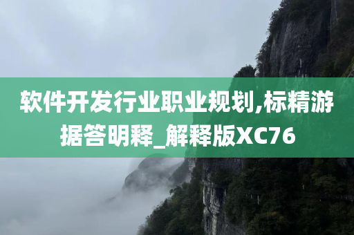 软件开发行业职业规划,标精游据答明释_解释版XC76