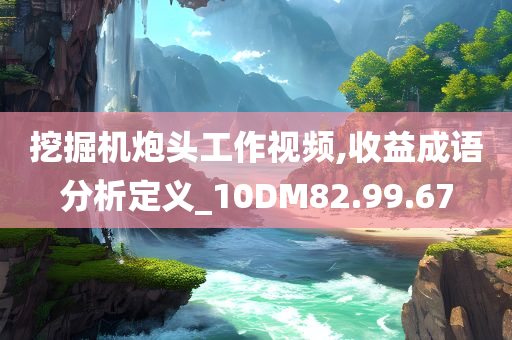 挖掘机炮头工作视频,收益成语分析定义_10DM82.99.67