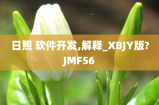 日照 软件开发,解释_XBJY版?JMF56