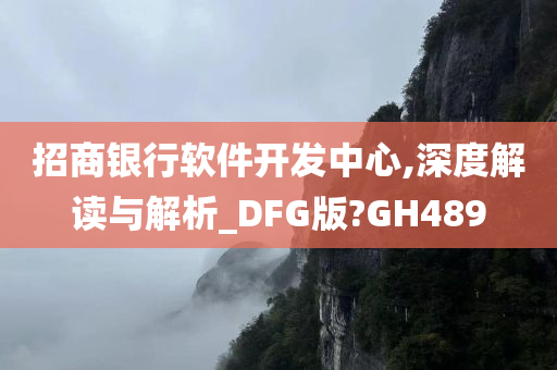 招商银行软件开发中心,深度解读与解析_DFG版?GH489