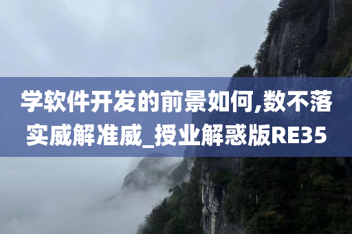 学软件开发的前景如何,数不落实威解准威_授业解惑版RE35