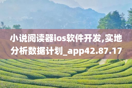 小说阅读器ios软件开发,实地分析数据计划_app42.87.17