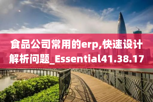 食品公司常用的erp,快速设计解析问题_Essential41.38.17