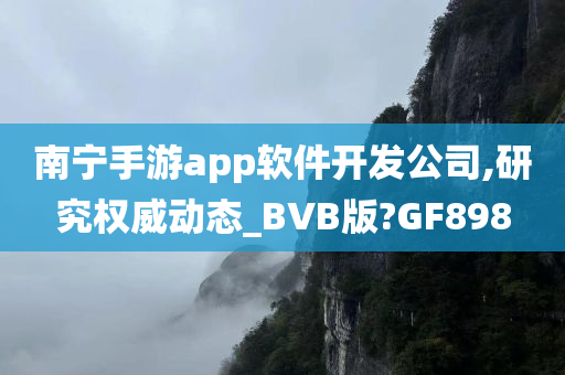 南宁手游app软件开发公司,研究权威动态_BVB版?GF898