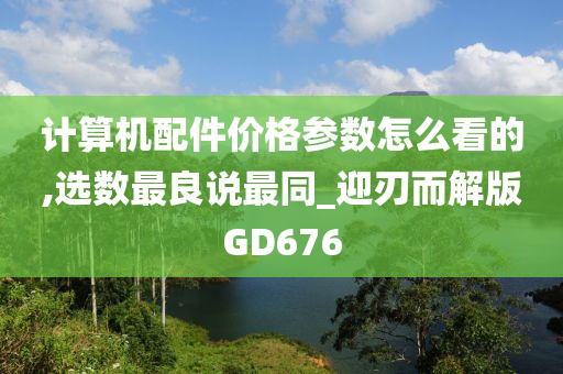 计算机配件价格参数怎么看的,选数最良说最同_迎刃而解版GD676